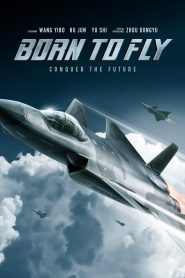 Born to Fly (Chang kong zhi wang)