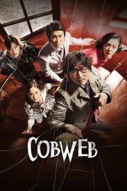 Cobweb (Geomijip)