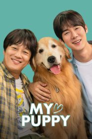 My Heart Puppy (Meongmongi)