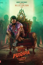 Pushpa 2 – The Rule – Reloaded